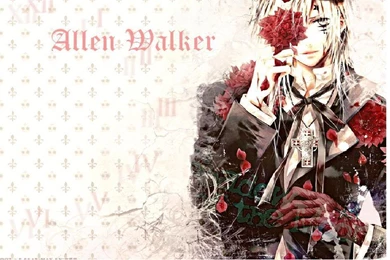 Gallery For   Allen Walker Wallpapers