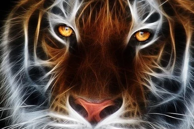 Z Wallpapers Iphone 4 Apple 640 X 960 Awesome 1057   640 X 960 ...