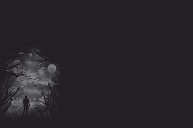 Man's Silhouette In The Moonlight Wallpapers Free Wide HD Wallpapers