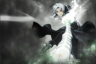 Does Anyone Wach D.Gray Man?