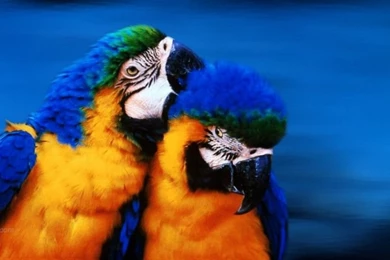 Awesome Backgrounds Pictures For Computer Wallpapers Cave