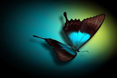 Background Images For PC Widescreen HD Wallpapers