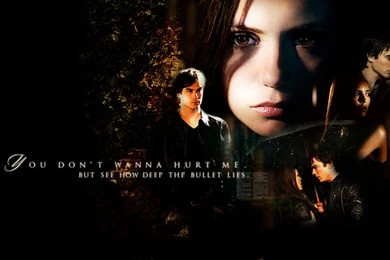 Elena And Damon Wallpapers By Avatar fangirl On DeviantArt
