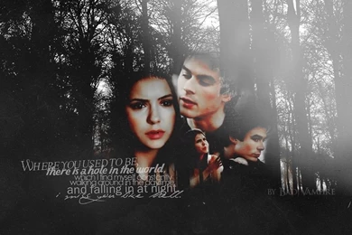 Damon And Elena Wallpapers   Damon Salvatore Wallpapers (17445841 ...