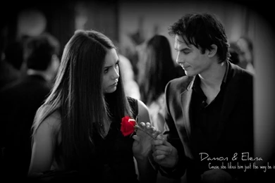 Damon Wallpapers   Wallpapers Cave