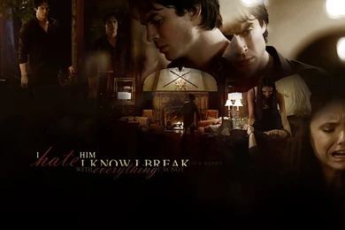 Elena And Damon   Damon & Elena Wallpapers (26598046)   Fanpop