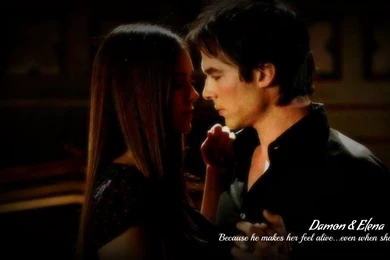 Delena 407 Wallpapers   Damon & Elena Wallpapers (34500267)   Fanpop