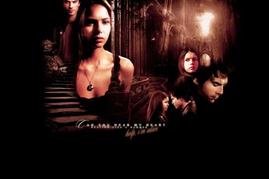 Delena   Damon & Elena Wallpapers (10999750)   Fanpop