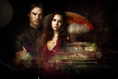 Delena   Damon & Elena Wallpapers (25156480)   Fanpop