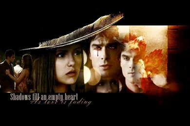 Delena   Damon & Elena Wallpapers (17195549)   Fanpop