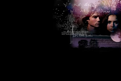 Damon & Elena   Damon & Elena Wallpapers (8490663)   Fanpop