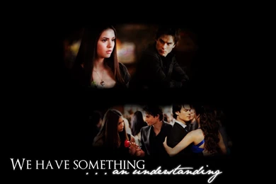 Delena Love   Damon & Elena Wallpapers (32424424)   Fanpop