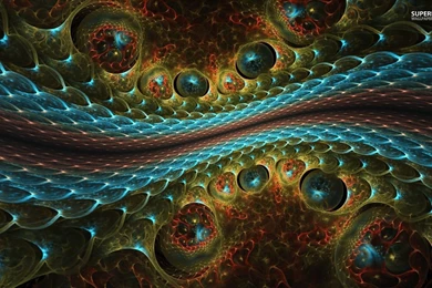 Fractal Snake Skin Wallpapers Abstract Wallpapers