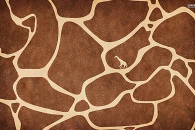 Giraffe skin 21140 1920x1200.jpg