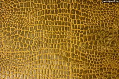 Crocodile Skin 1920x1080 Wallpapers