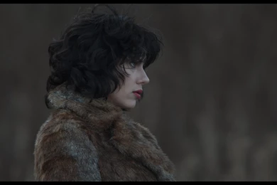 Under The Skin Wallpapers HD Download