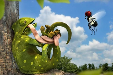 Funny New Wallpapers