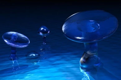 Wallpapers55.com   Best Wallpapers For PCs, Laptops, Smartphones ...