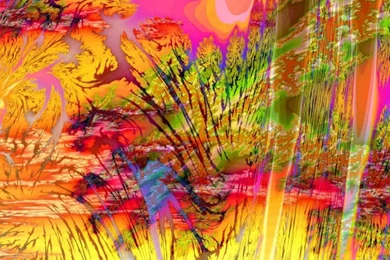 New Amazing Wallpapers ~ Amazing Wallpapers Free