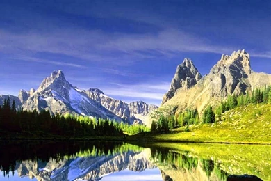 Attractive Amazing Wallpapers