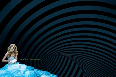 The White Rabbit Chronicles