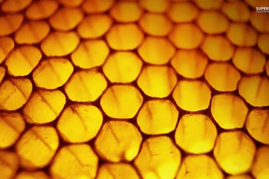 1920x1200px Honeycomb Best Wallpapers