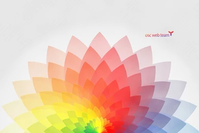 Web Designing Wallpapers 447219