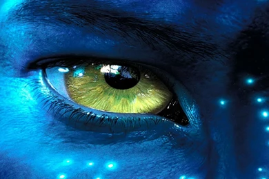 Avatar Desktop Wallpapers   3D Movie   James Cameron   Pandora