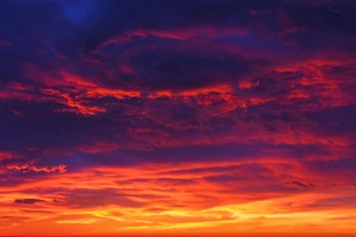 Latest Hd Iphone Wallpapers