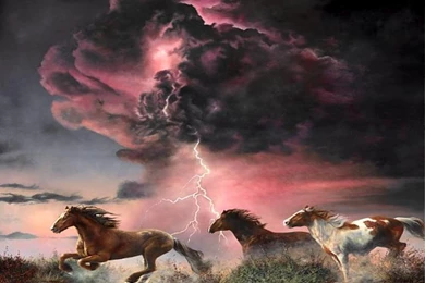Free Wallpapers Horses Escaping The Storm