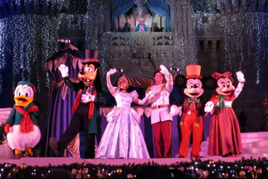 Cinderella Castle Lighting At Magic Kingdom; First 2013 ...