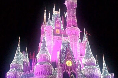 Good Day Sunshine: The Happiest Place On Earth