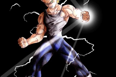 DRAGON BALL Z WALLPAPERS: Vegeta Super Saiyan 2