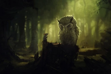 Mouse and owl in the dark forest artistic hd wallpaper 1920×1080 ...