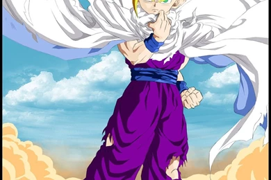 Teen Gohan Super Saiyan 2 By Shnab On DeviantArt