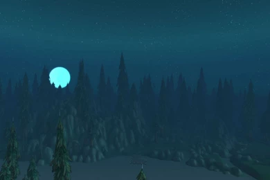 2858) Dark Forest HD Picture Wallpapers   WalOps.com