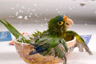 High quality wallpapers 3.jpg