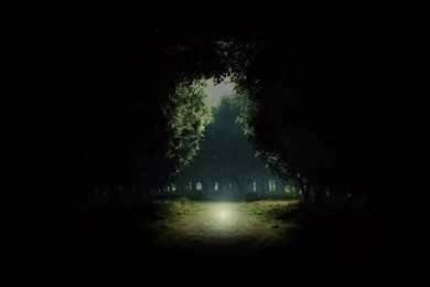 Night Forest (id: 164002) – BUZZERG