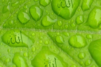 Free Android Galaxy S, Nexus Islamic Wallpapers   Free Islamic Apps