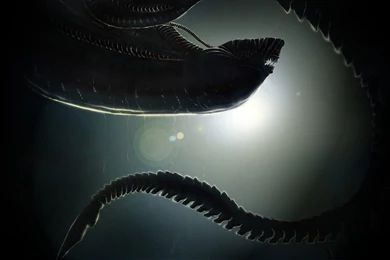 249 Alien HD Wallpapers
