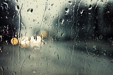 Full HD 1080p Macro Wallpapers, Desktop Backgrounds HD Downloads ...