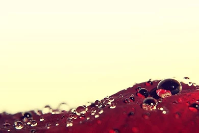 Drop By Drop Wallpapers By Jules1983 On DeviantArt