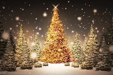 FreePhotoz Daily Wallpapers & Backgrounds   Christmas Tree Desktop ...