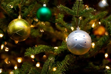Free Desktop Wallpapers Blog Archive Christmas Tree   (