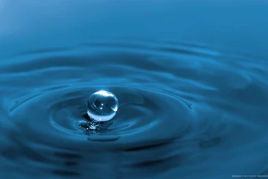 Water Droplets Wallpapers