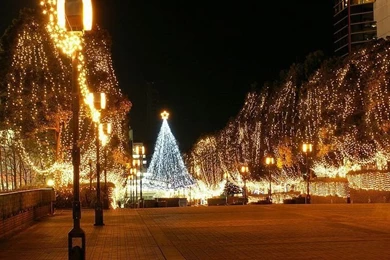 Christmas Tree Wallpapers Desktop   Christmas Tree : Tree Of Life ...