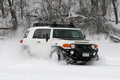 Toyota Fj Cruiser 2015 Gray   Image
