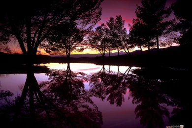 Desktop Backgrounds Wallpapers   134339