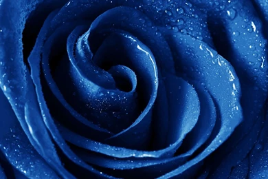 Nature Backgrounds, Wallpapers Of Nature, Windows Wallpaper, Mac ...