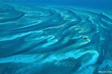 Free Wallpapers   Free Nature Wallpapers   Mac OS X Mountain Lion ...